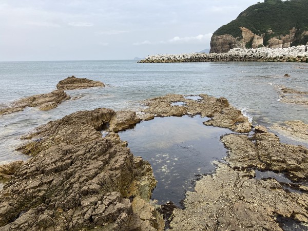 썰물이 되면 드러나는 조수웅덩이