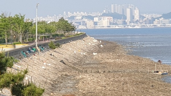 방파제 너머에 널려있는 해변 쓰레기