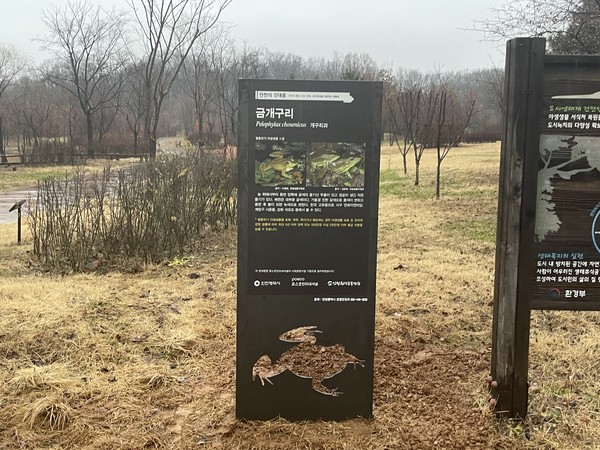 연희공원 자연마당의 금개구리 해설안내판